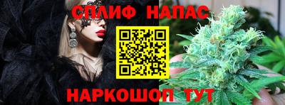 сатива Конаково