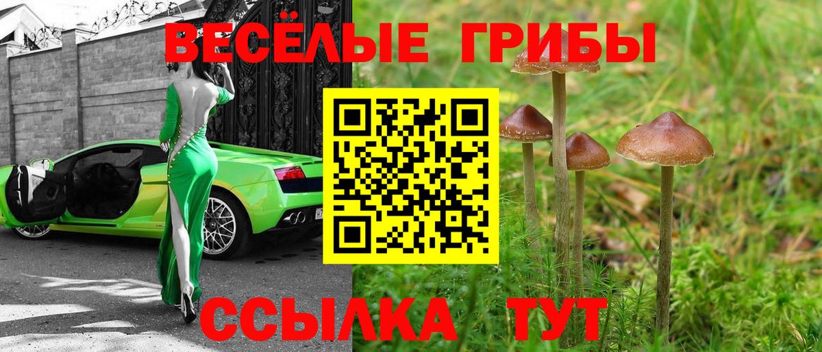 Галлюциногенные грибы мицелий Балашов